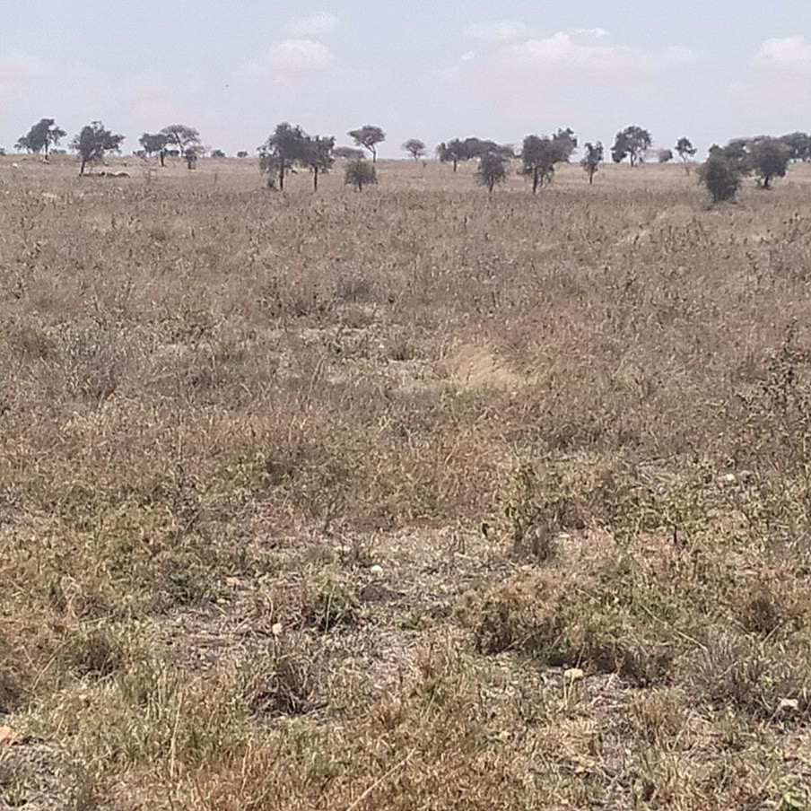 1/8 Acre Plot in Malili Town near konza